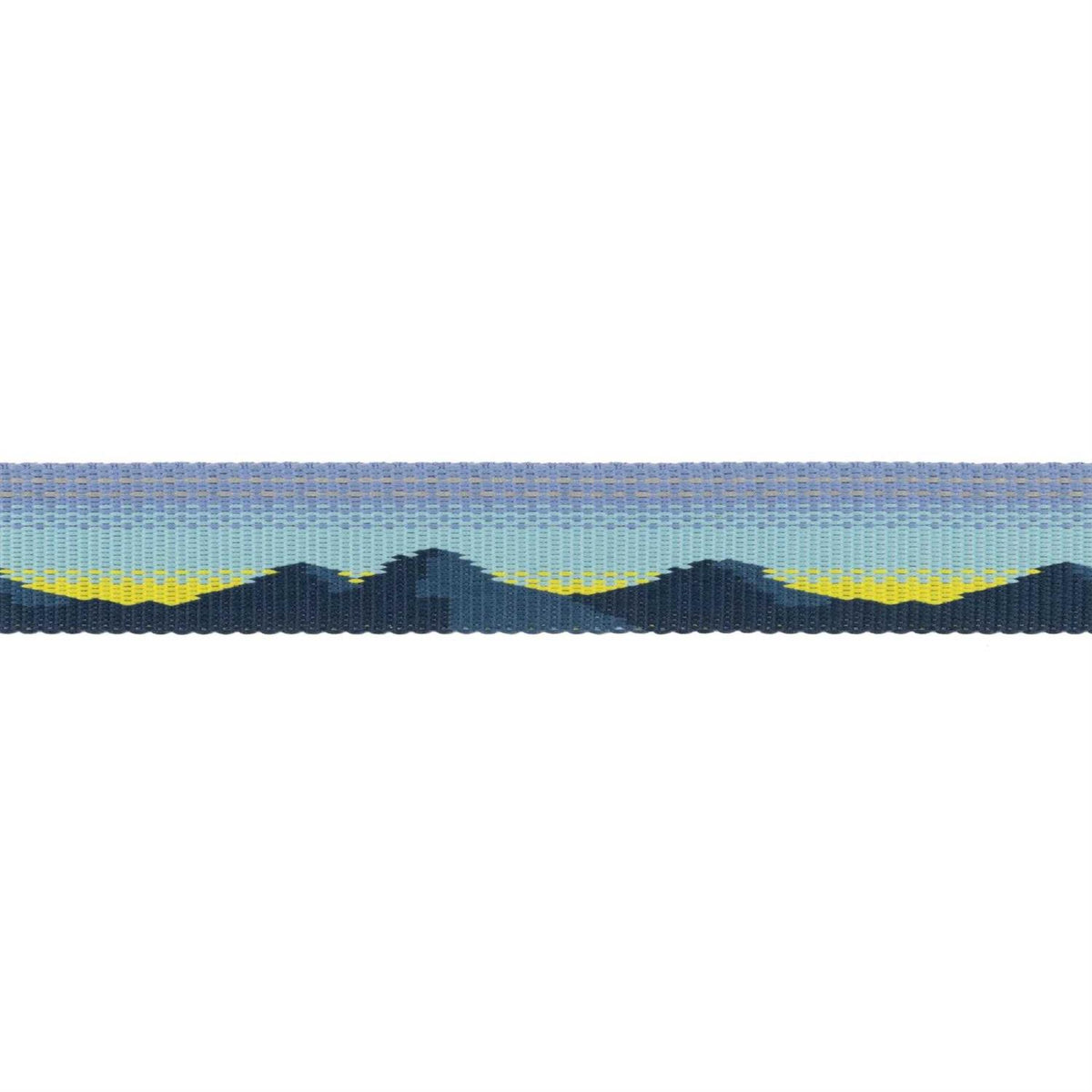 Dog Collar B566575