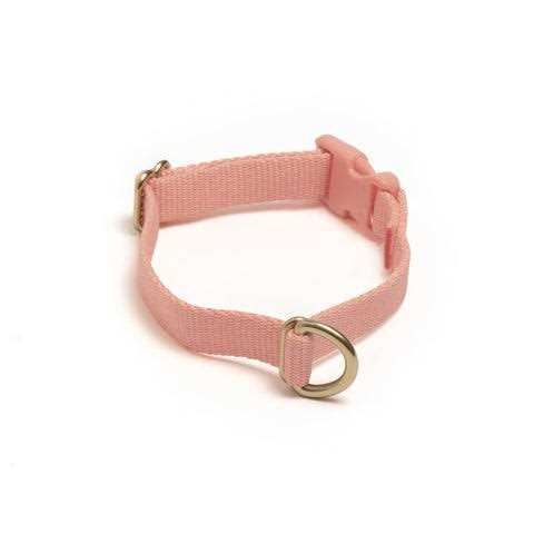 Standard Dog Collar Z654