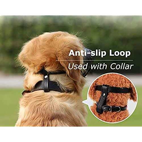 Leather Dog Muzzle T9818