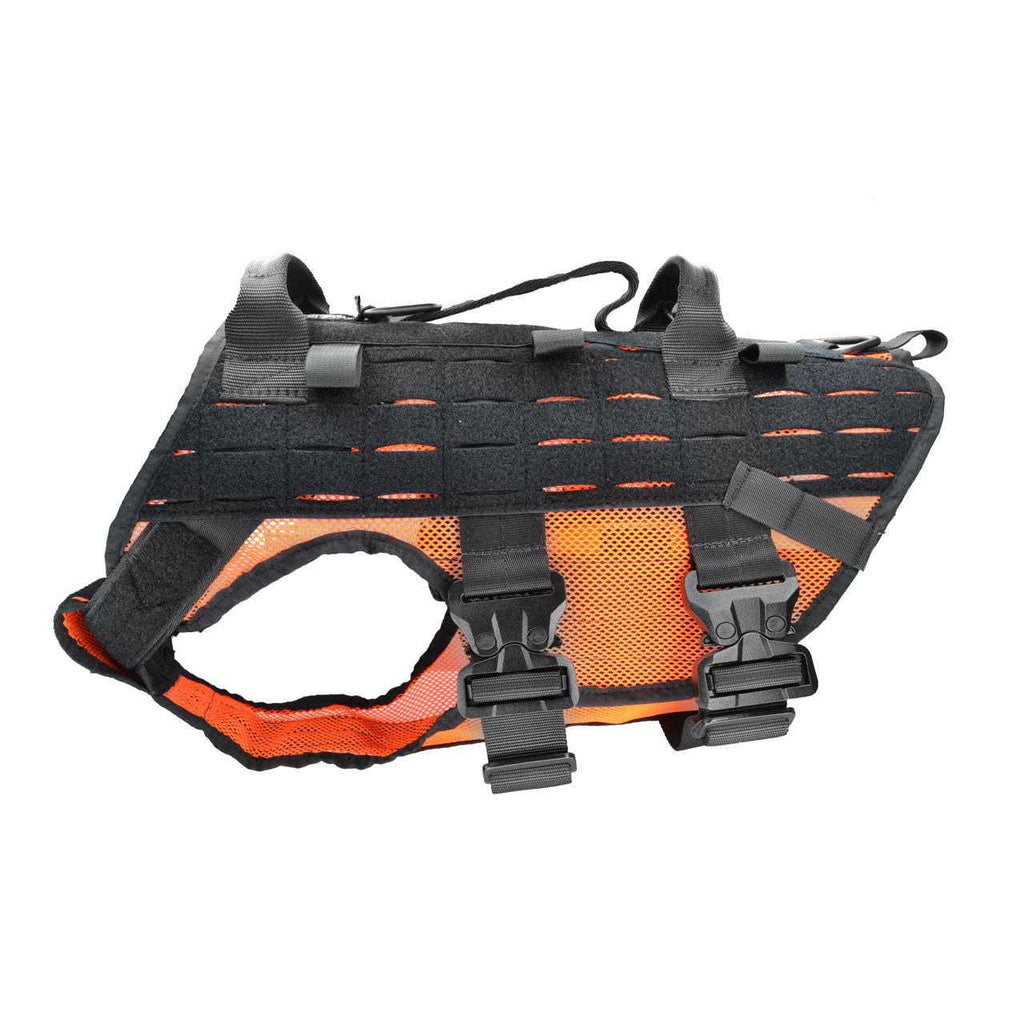 Harness T586494