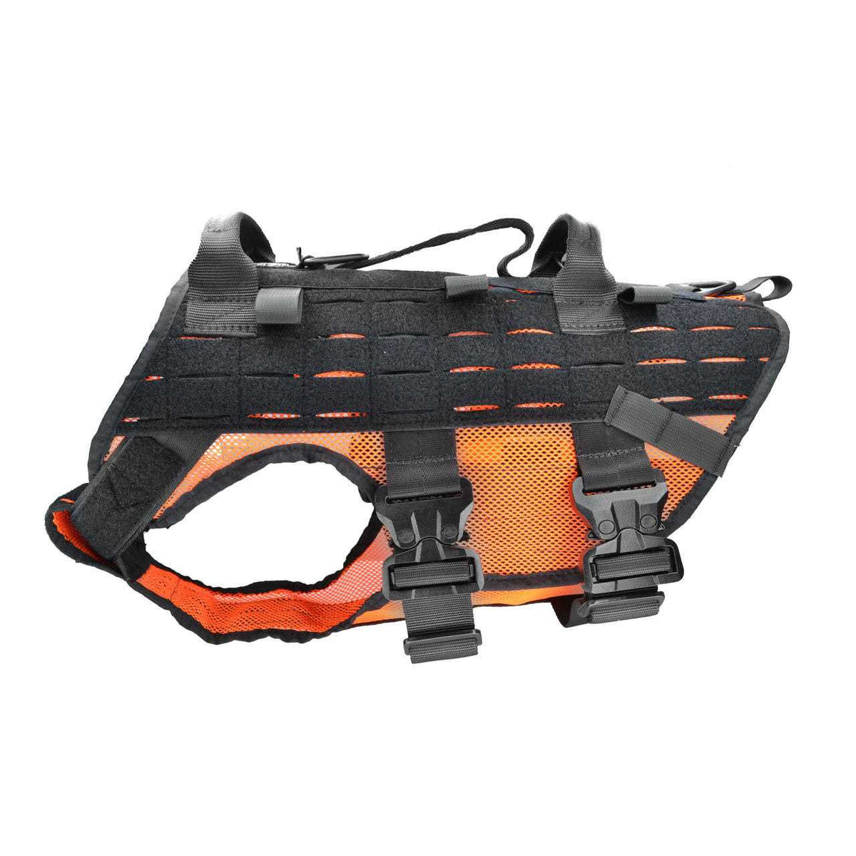 Harness T586494