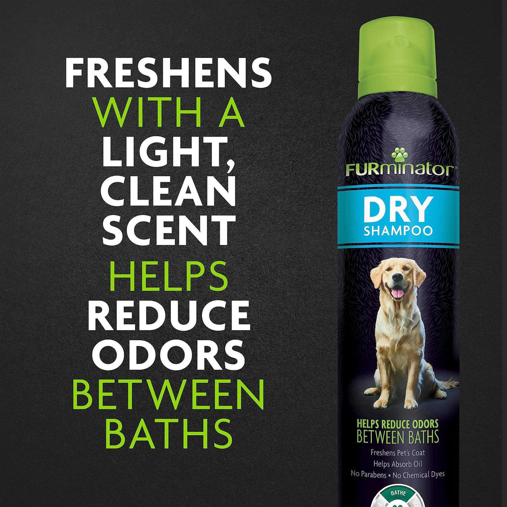 Dry Shampoo O9384