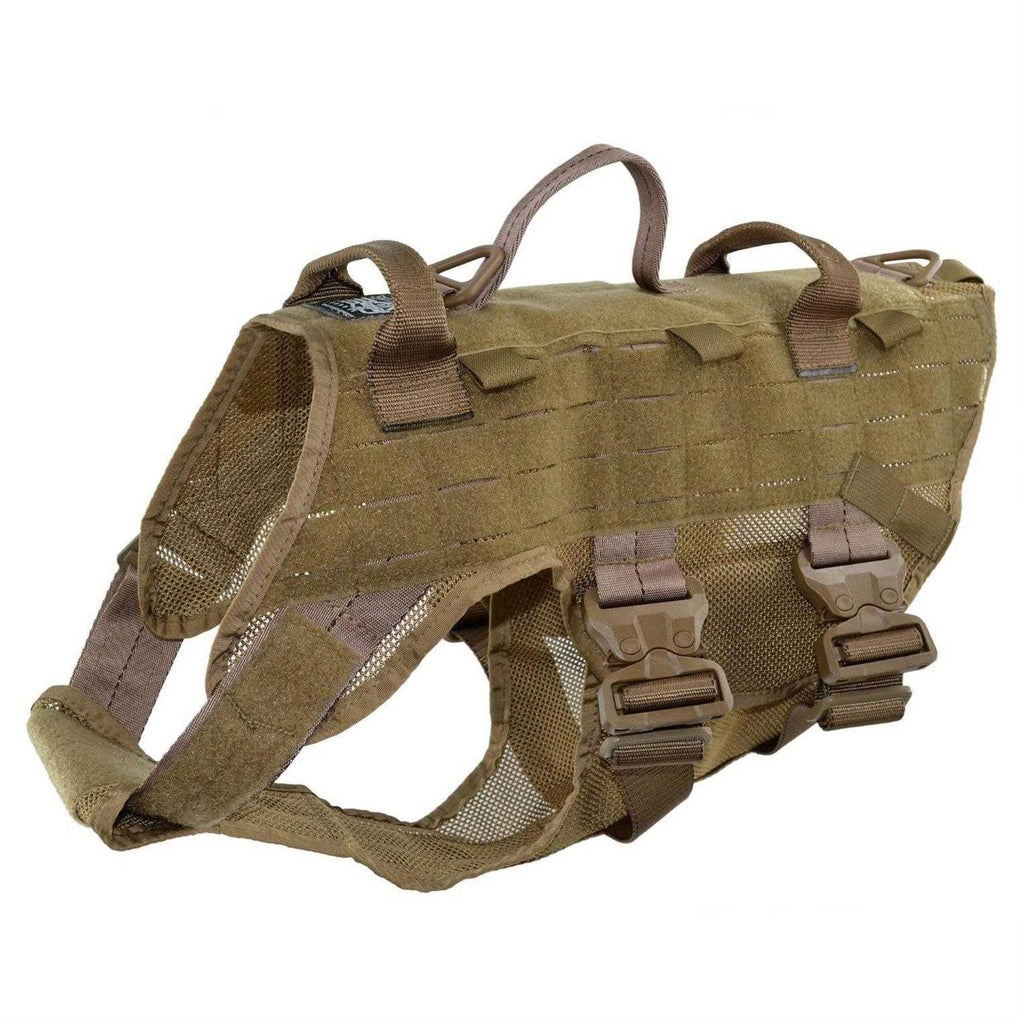 Harness T586494