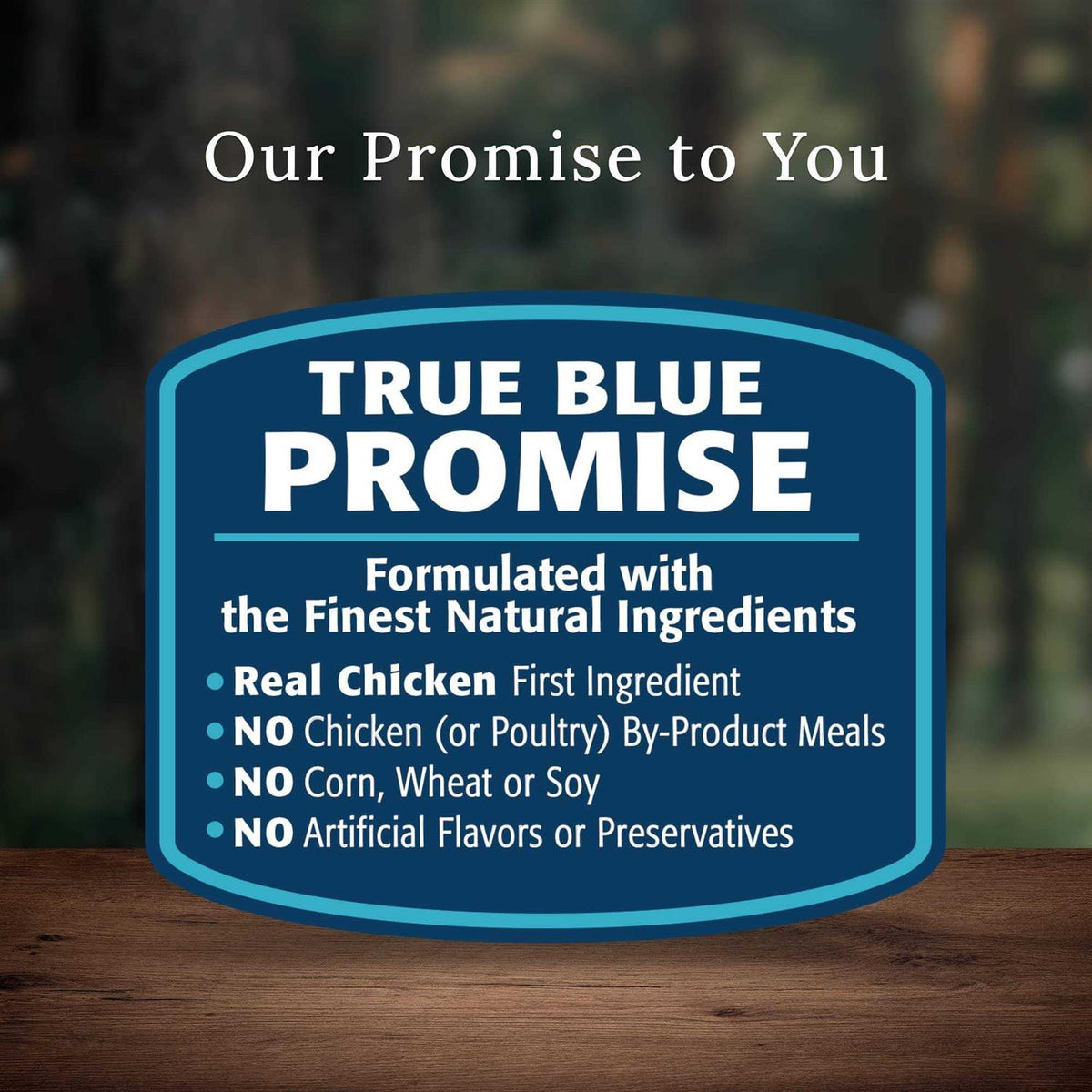 Chicken Senior Dry Dog Food M13361