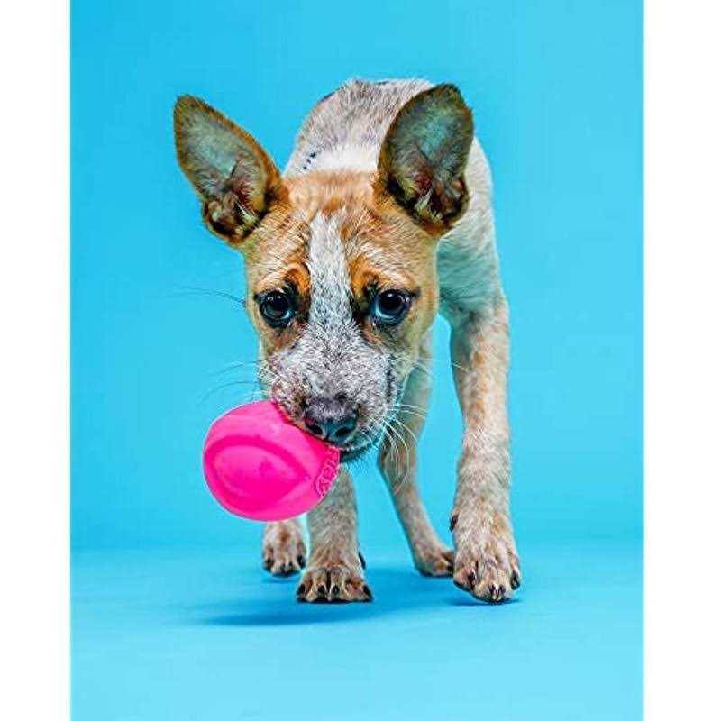 Squeaky Latex Dog Toy J6994