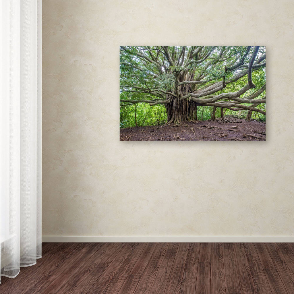 Canvas Art Y370984