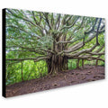 Canvas Art Y370984