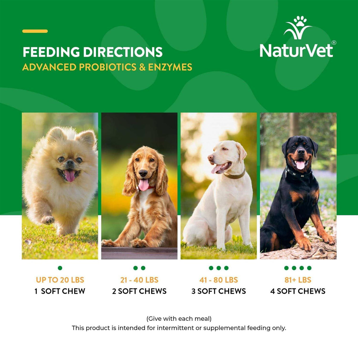 Probiotics & Enzymes Soft Chews C9941