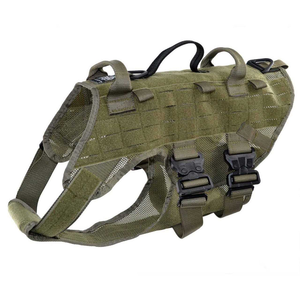 Harness T586494