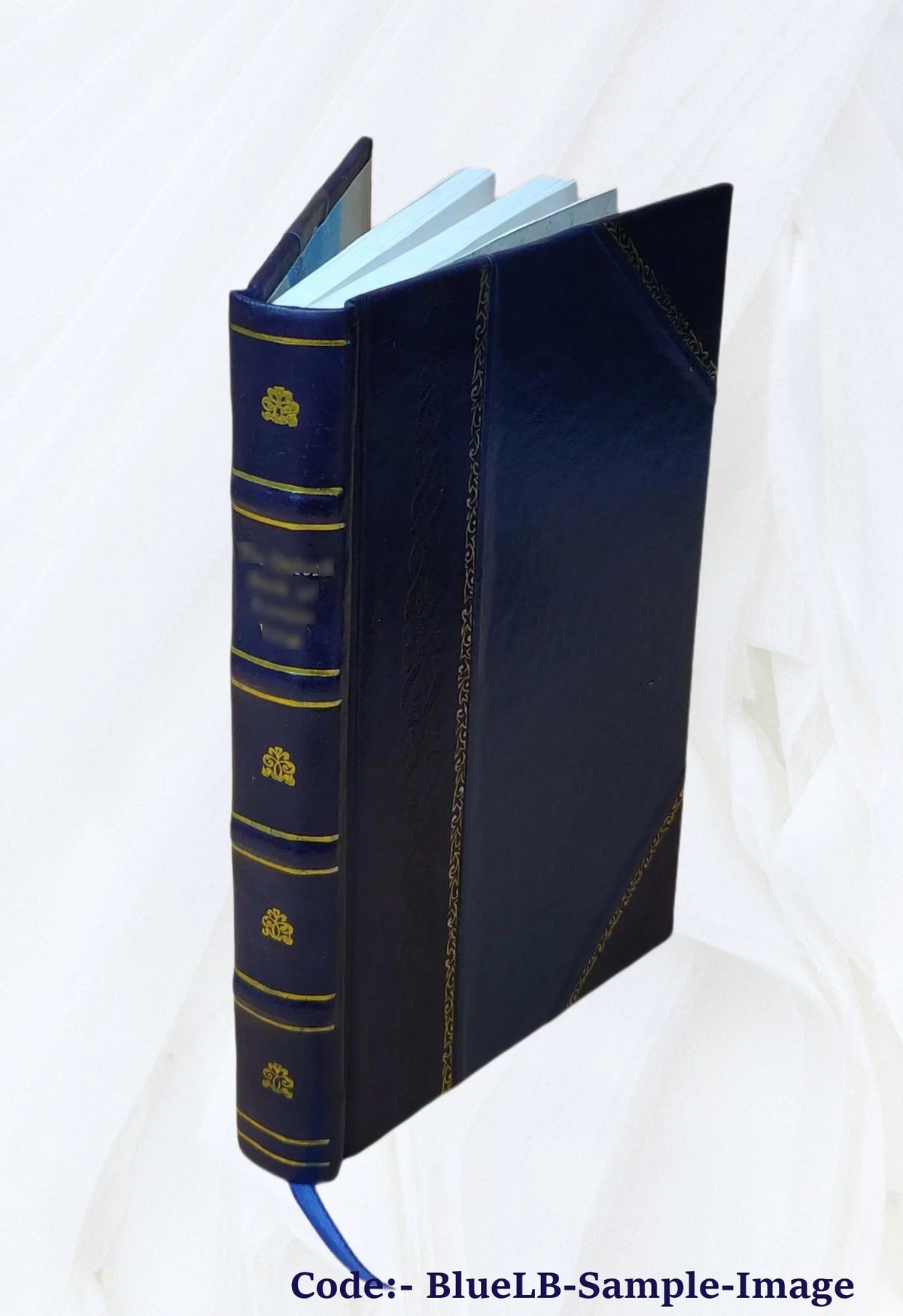 19th Century Works and Men Volume 13 Leather Bound Q60864