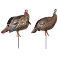 Carbon Jake and Hen Turkey Decoy Combo O762176