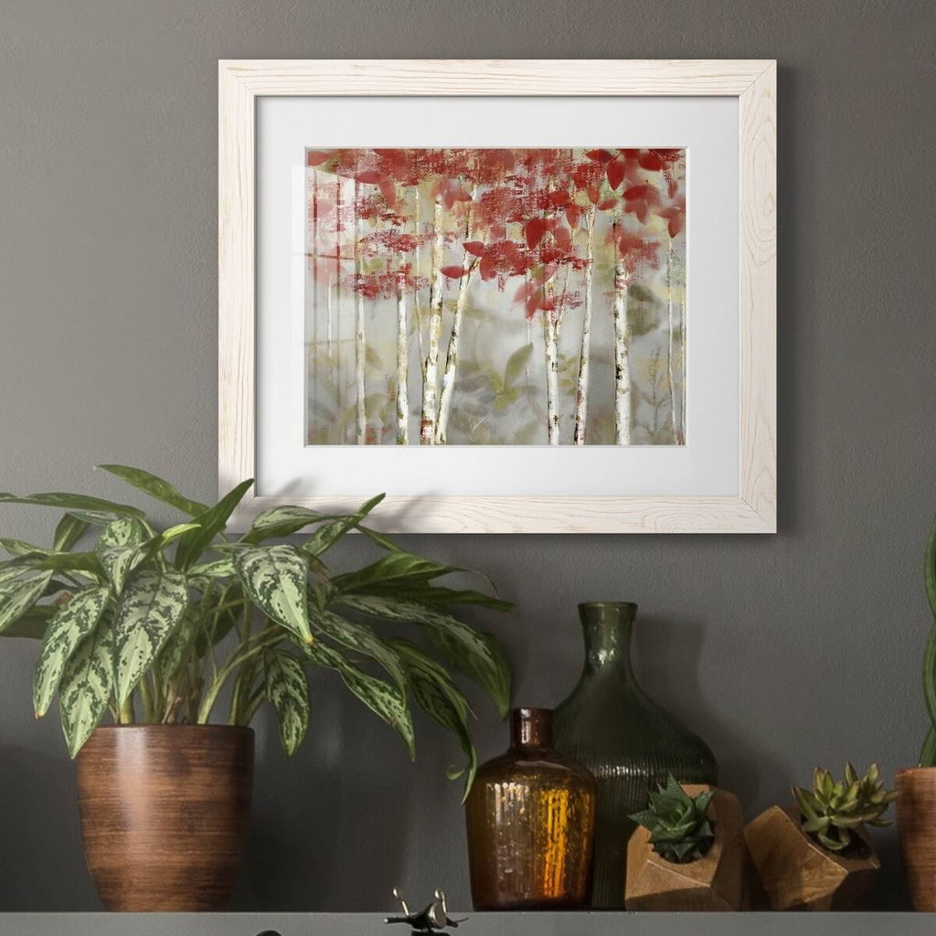 Framed Canvas Z834