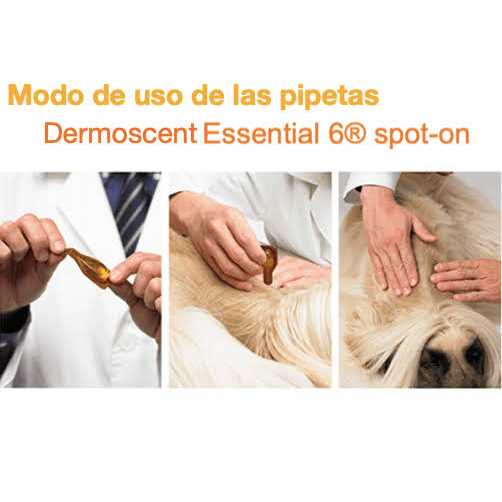 Essential 6 Spot-On Dogs H384