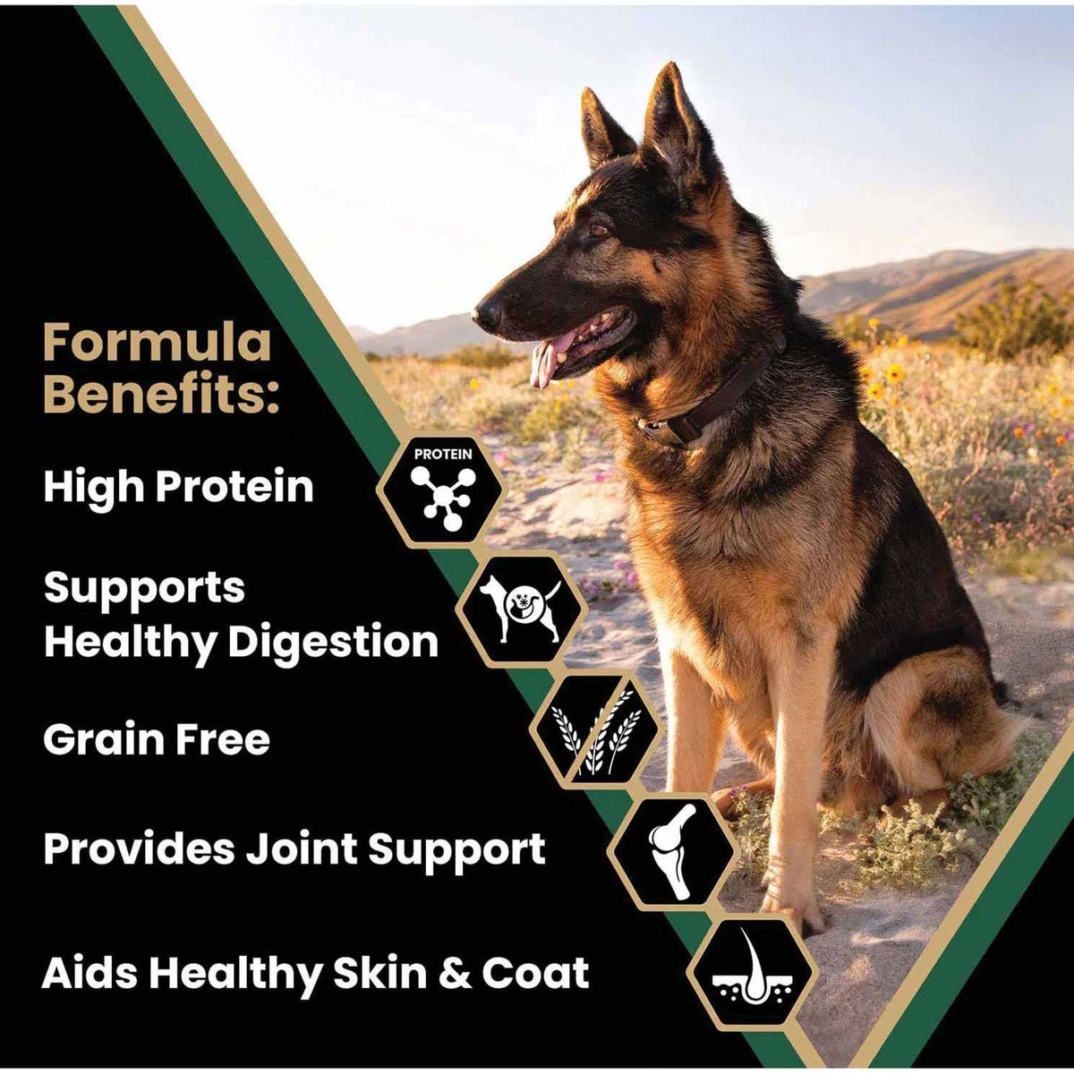 Grain Free Dry Dog Food I641657
