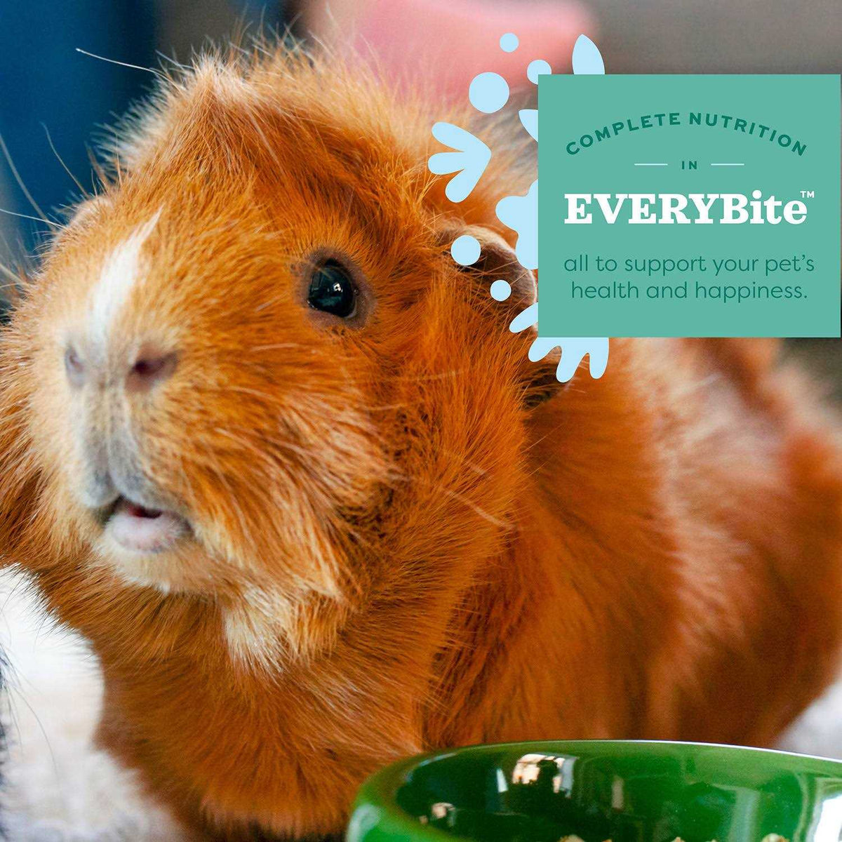 Senior Guinea Pig Food E274