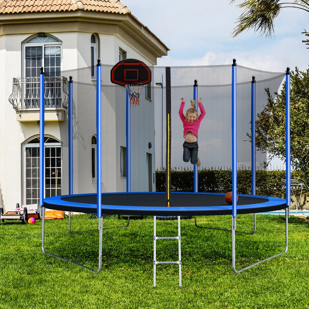10ft Trampoline with Basketball Hoop and Ladder W10647