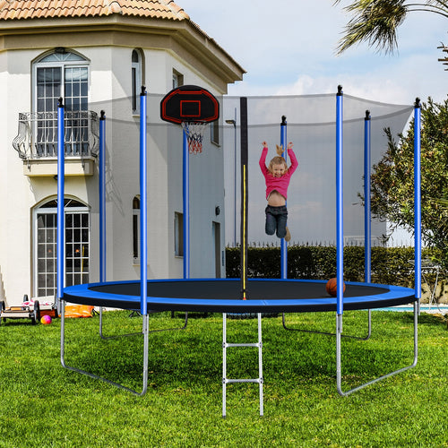 10ft Trampoline with Basketball Hoop and Ladder W10647