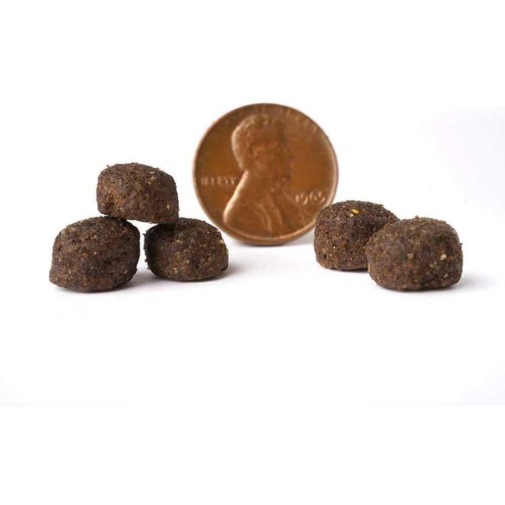 Grain Free Dry Dog Food I641657