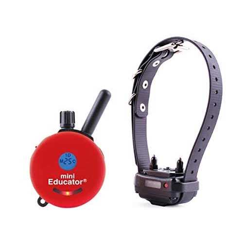 Remote Dog Training System O4447