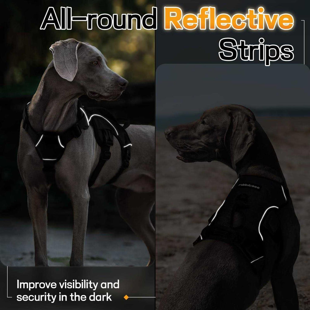 Adjustable Soft Padded Dog Harness with 2 Leash Clips P3509