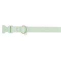 Dog Collar G54273