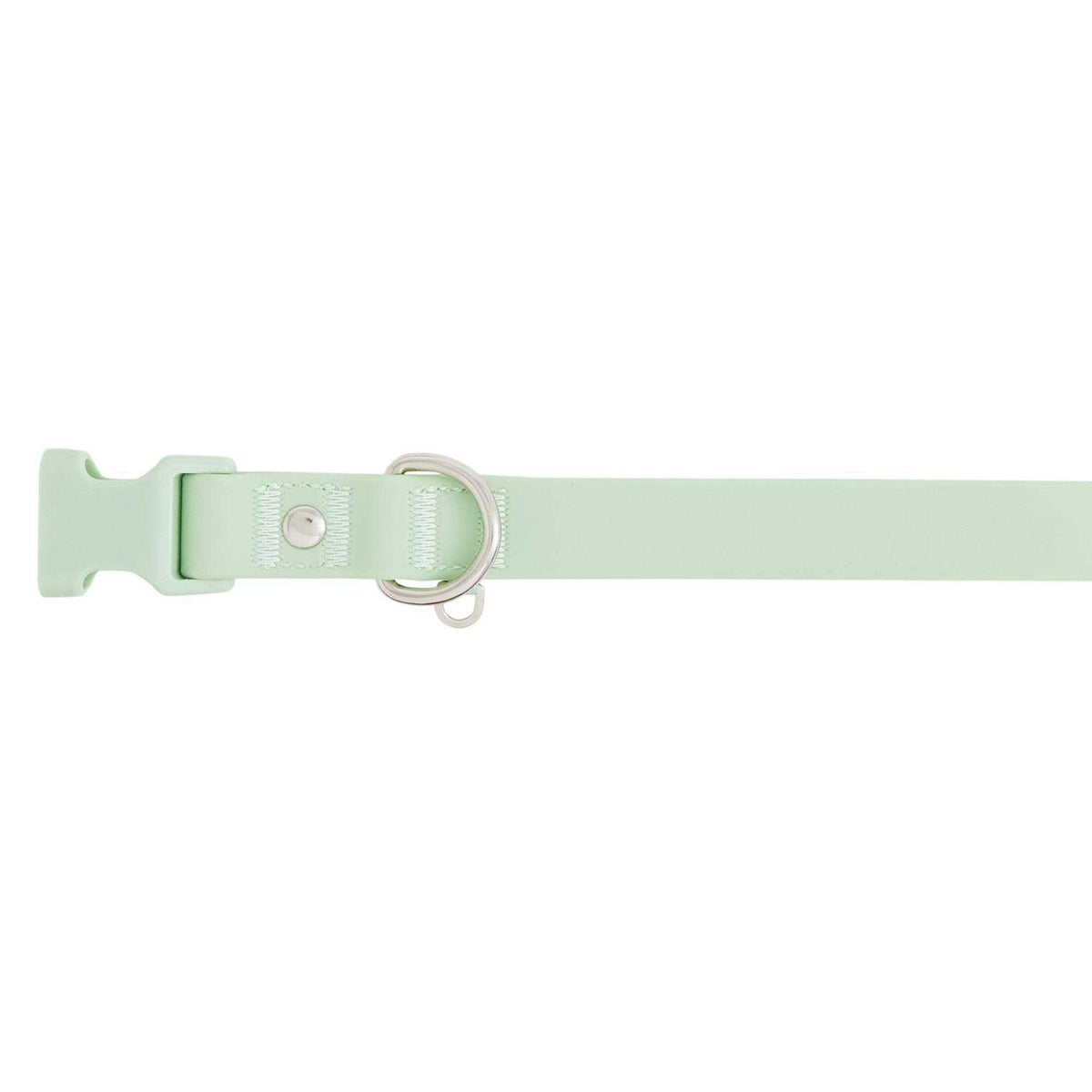 Dog Collar G54273