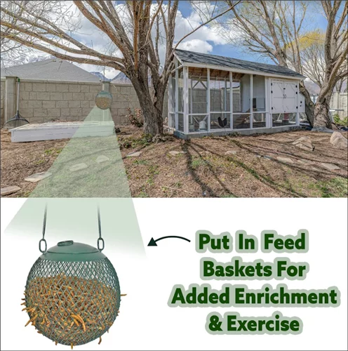 Dried Mealworms 22 lb I1070