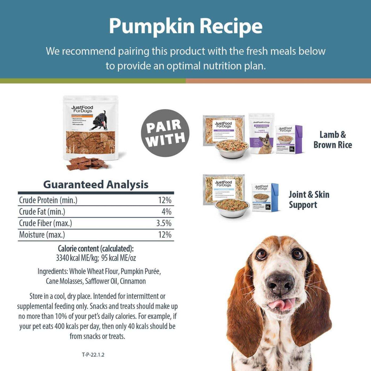 Pumpkin Dog Treats D149399