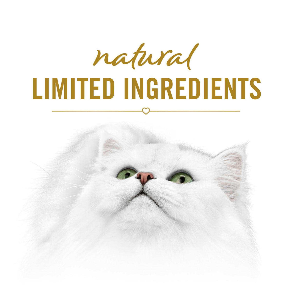Pet Supplies Q438936