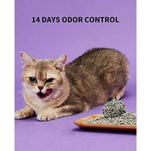 5 in 1 Mixed Cat Litter, Strong Clumping, Unscented Ultra Absorbent B5919