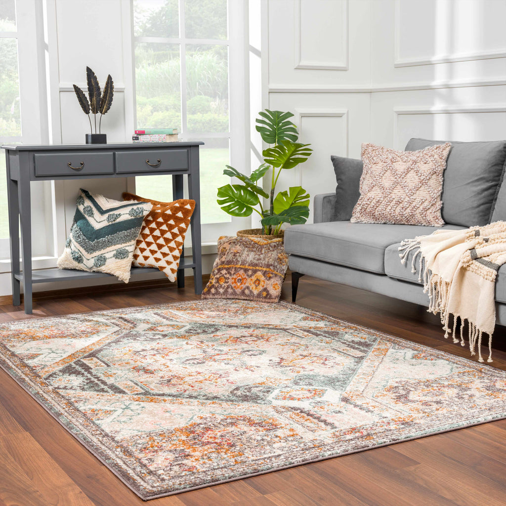 Gray Brown Red Area Rug C530253