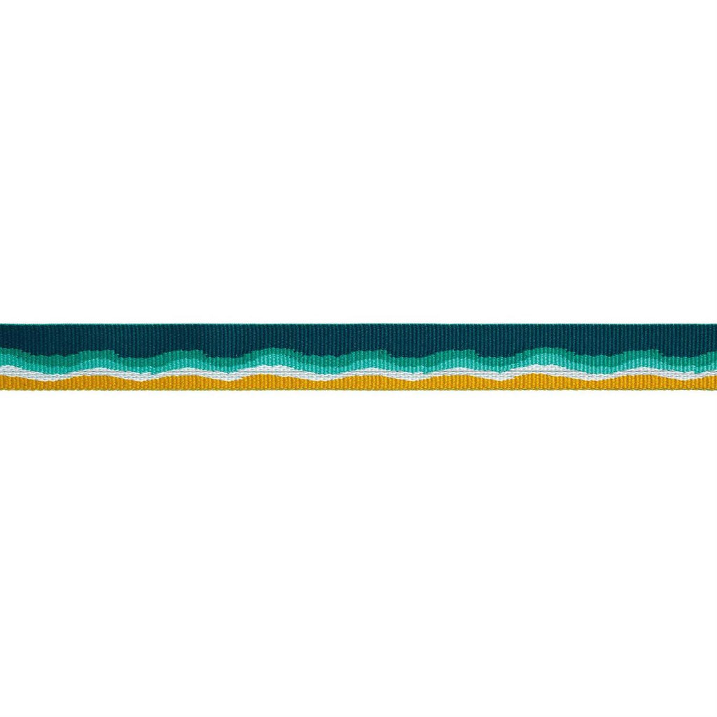 Dog Collar B566575