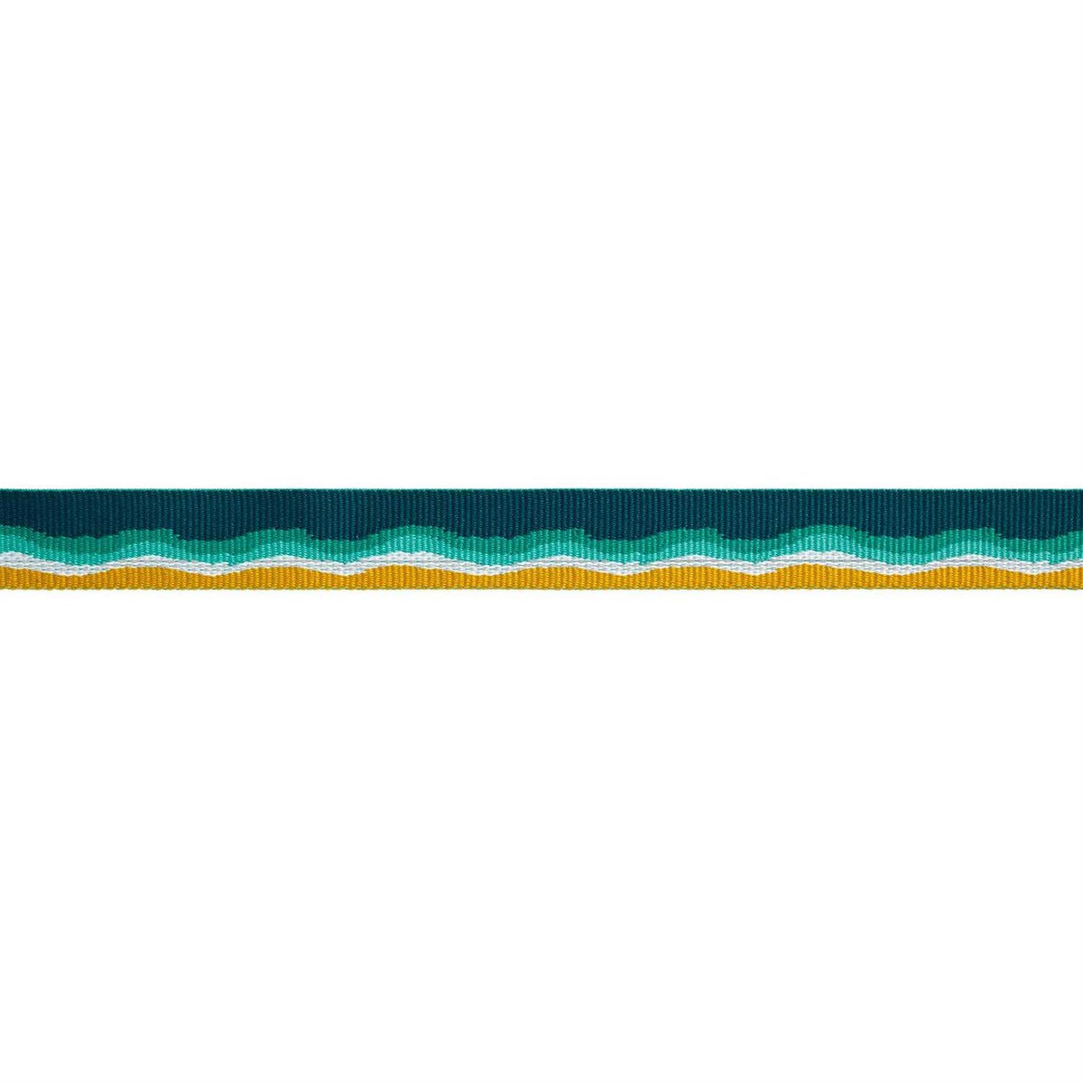 Dog Collar B566575
