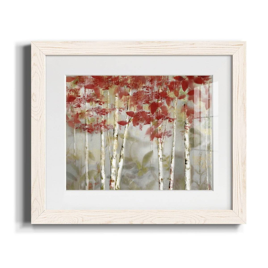 Framed Canvas Z834
