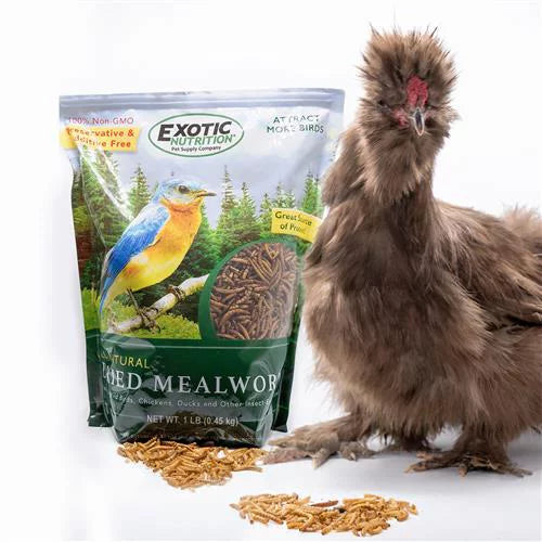 Dried Mealworms 22 lb I1070
