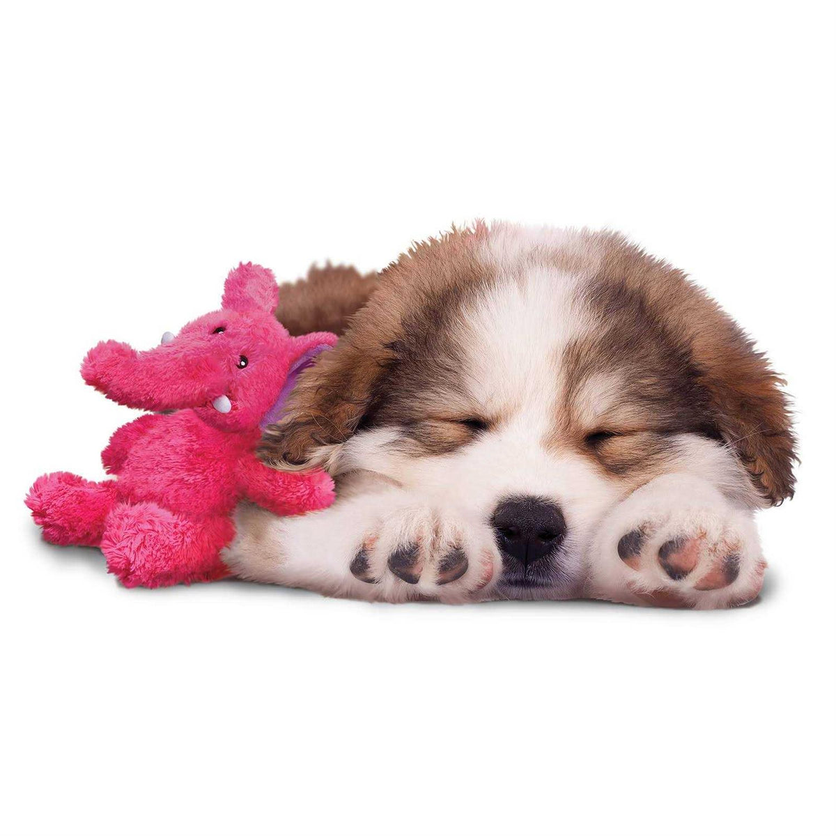 Dog Toy M786