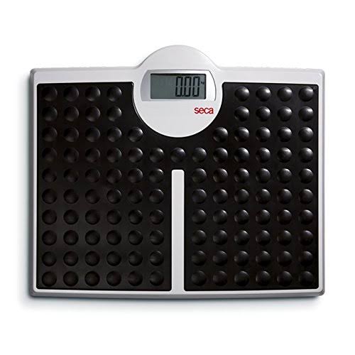 Flat Scale with High Capacity L266