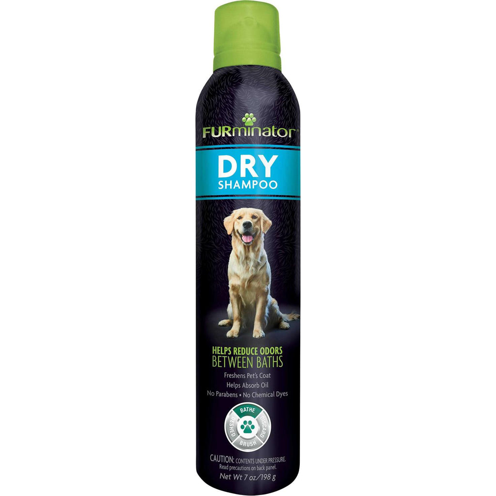 Dry Shampoo O9384