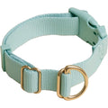 Standard Dog Collar Z654