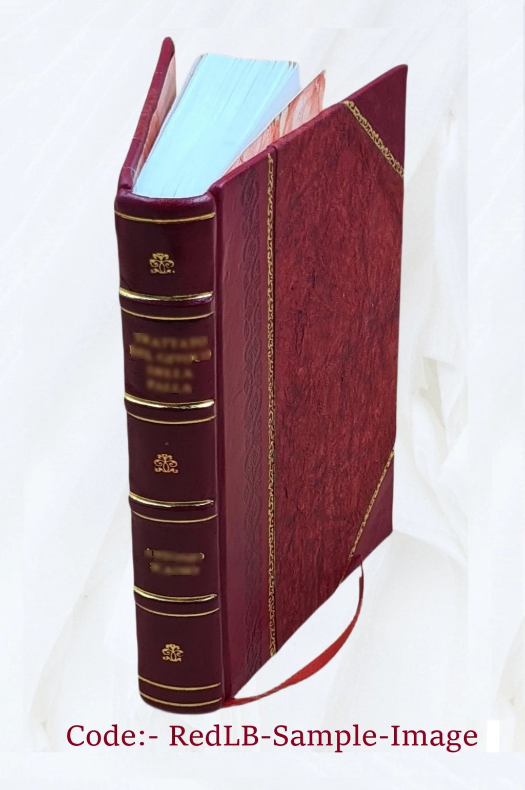 19th Century Works and Men Volume 13 Leather Bound Q60864