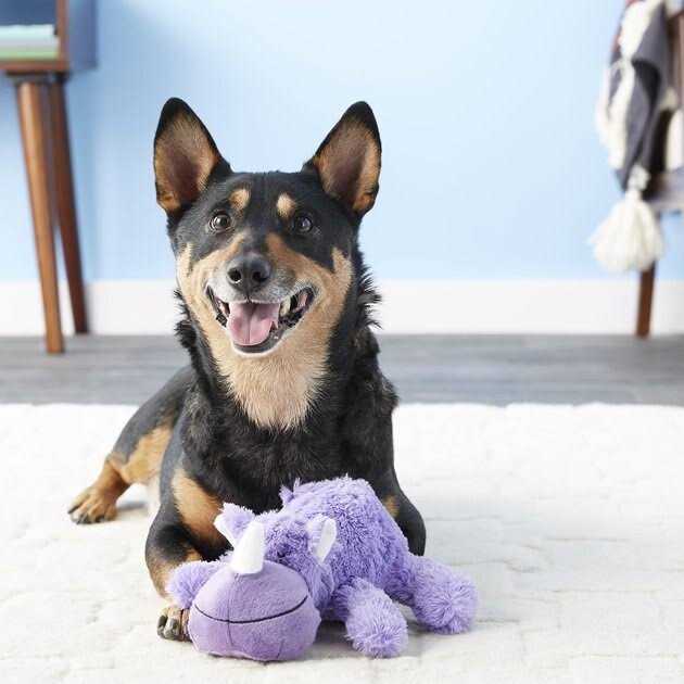 Dog Toy M786