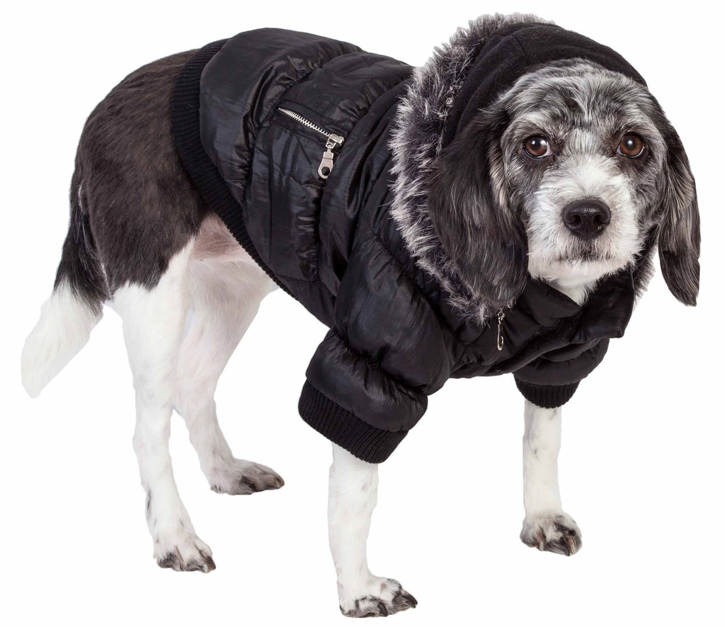 3M Insulated Dog Coat Parka with Removable Hood K2637
