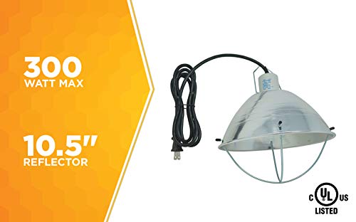 10.5 Inch Reflector Brooder Lamp with Bulb Guard and 6 Foot Cord Q242