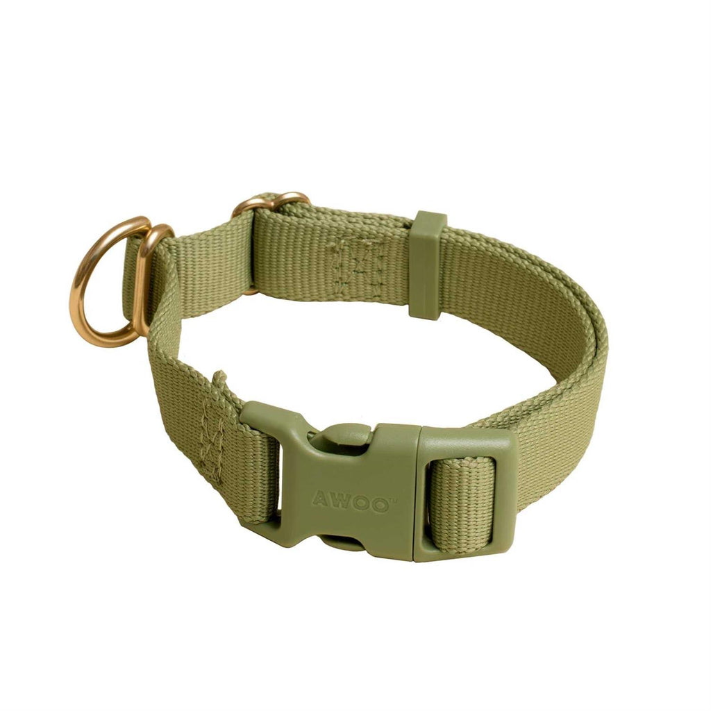 Standard Dog Collar Z654
