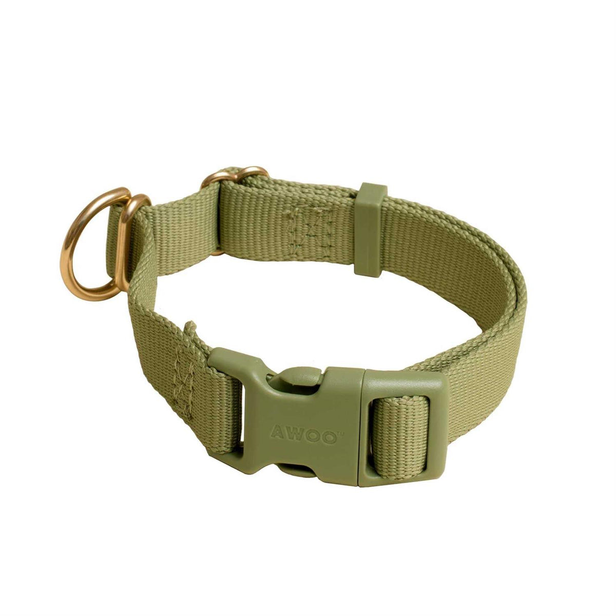 Standard Dog Collar Z654