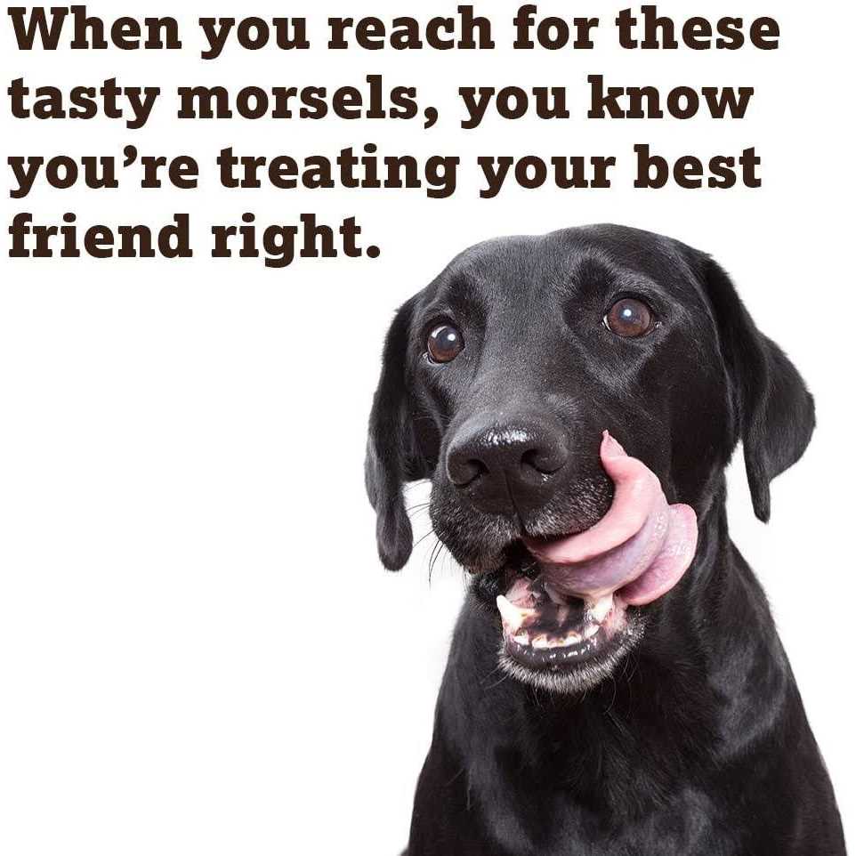 Baked Dog Treats O7884