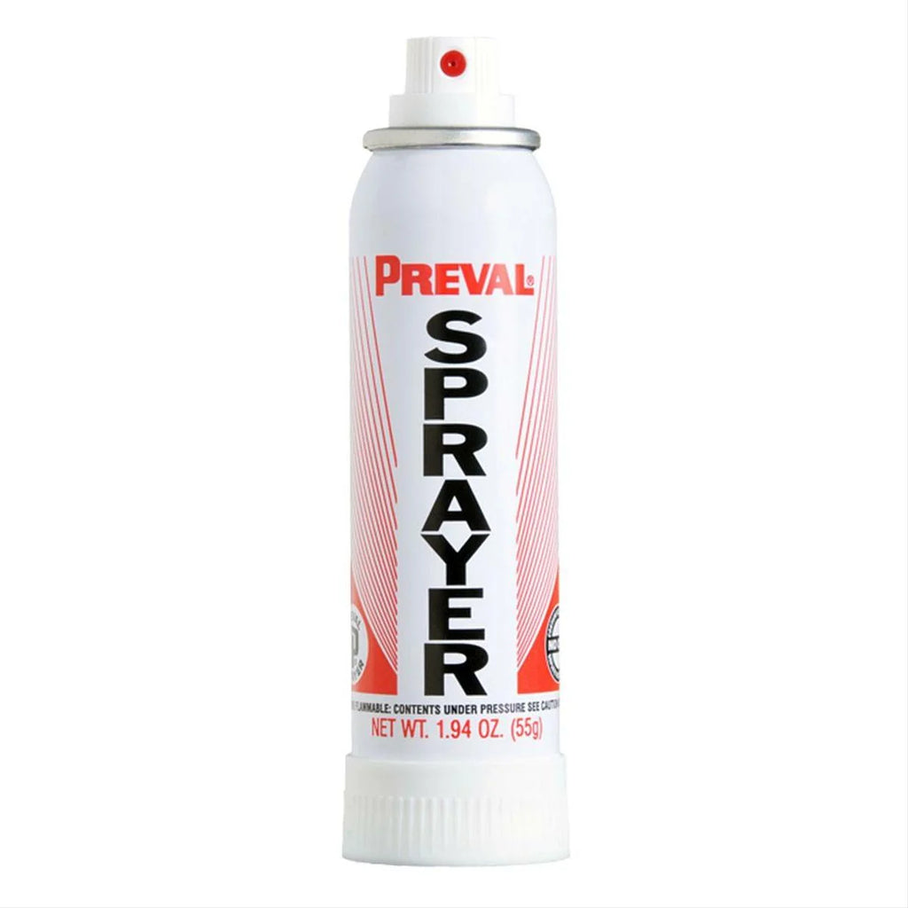 Touch Up Basecoat Plus Clearcoat Spray Paint Kit A5353