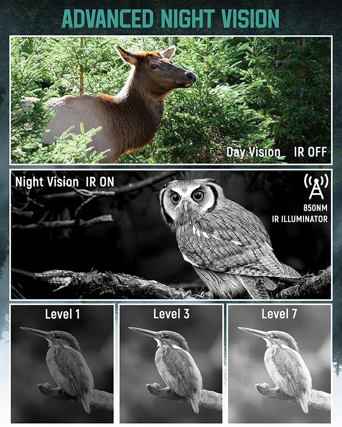 Night Vision Binoculars with 32GB Memory Card T6414