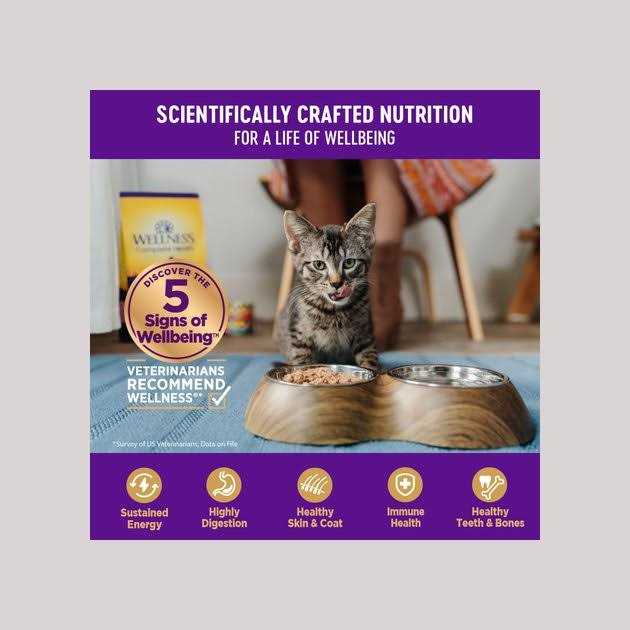 Grain Free Wet Cat Food E241