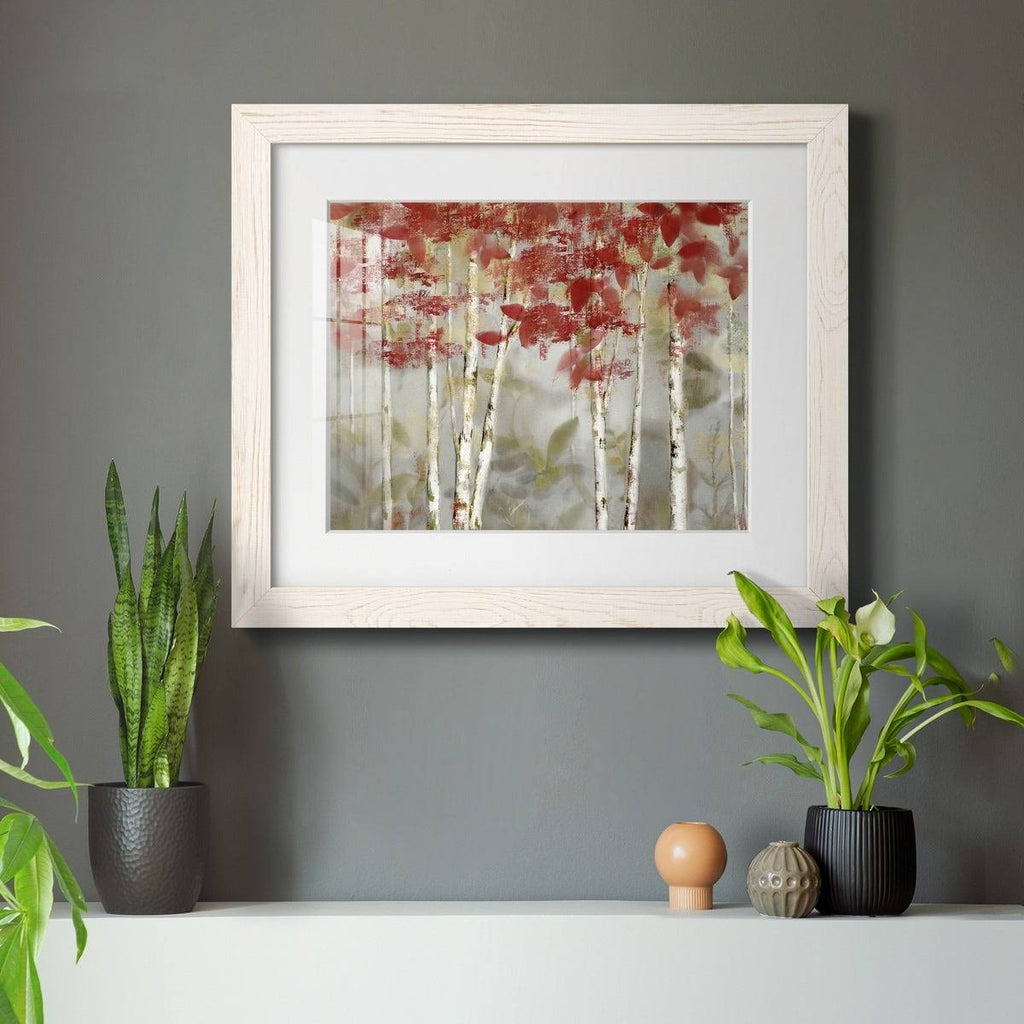 Framed Canvas Z834